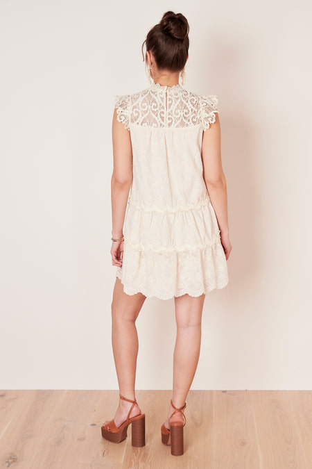 Mini dress lace embroidery