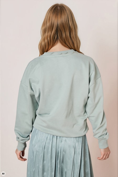 Sweatshirt mit Stickerei